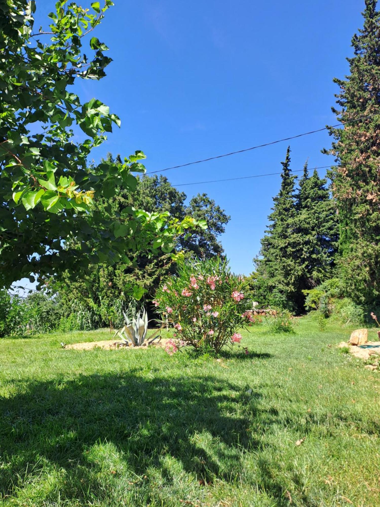 Le Gite Tilia Sablet Exterior photo